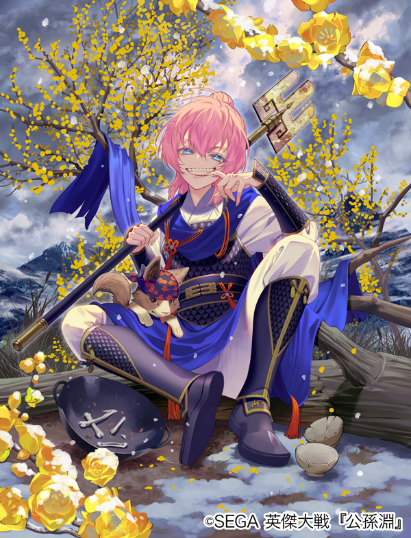 『英傑大戦』  公孫淵